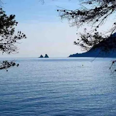 T3 Lumineux Et Climatise A 300m Des Plages Apartmán La Seyne-sur-Mer